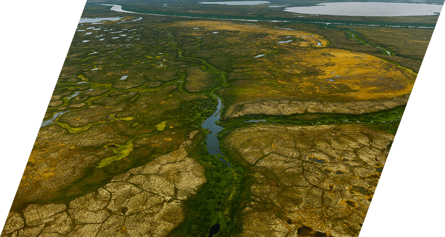 ООО «ЗАРУБЕЖНЕФТЬ добыча Харьяга