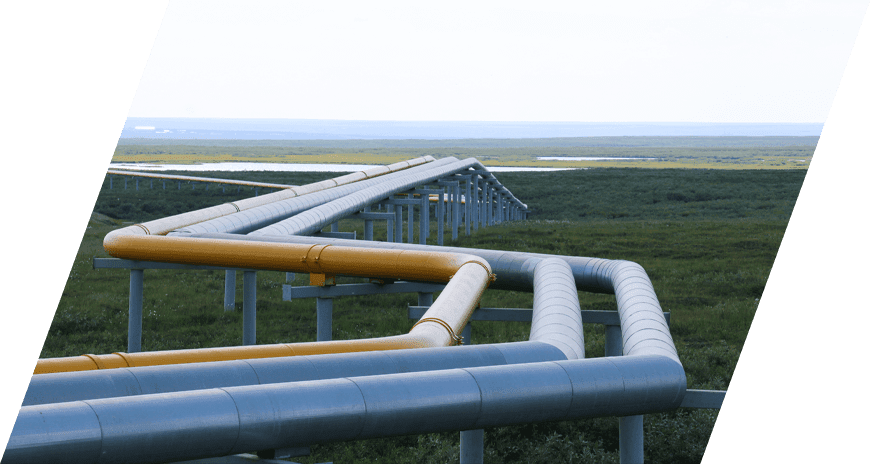 ООО «Зарнестсервис»